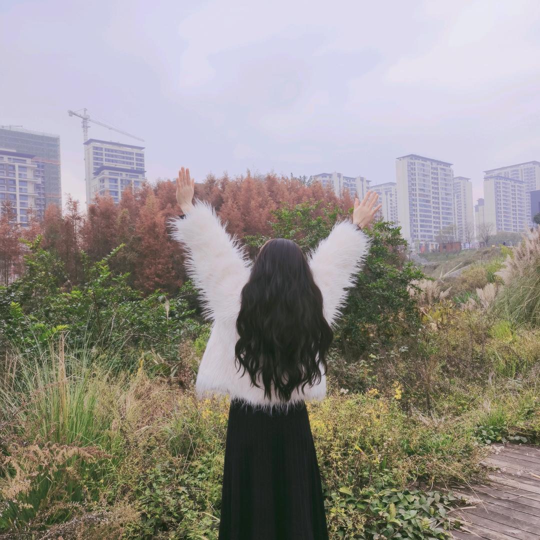 Y✨️C如梦💕