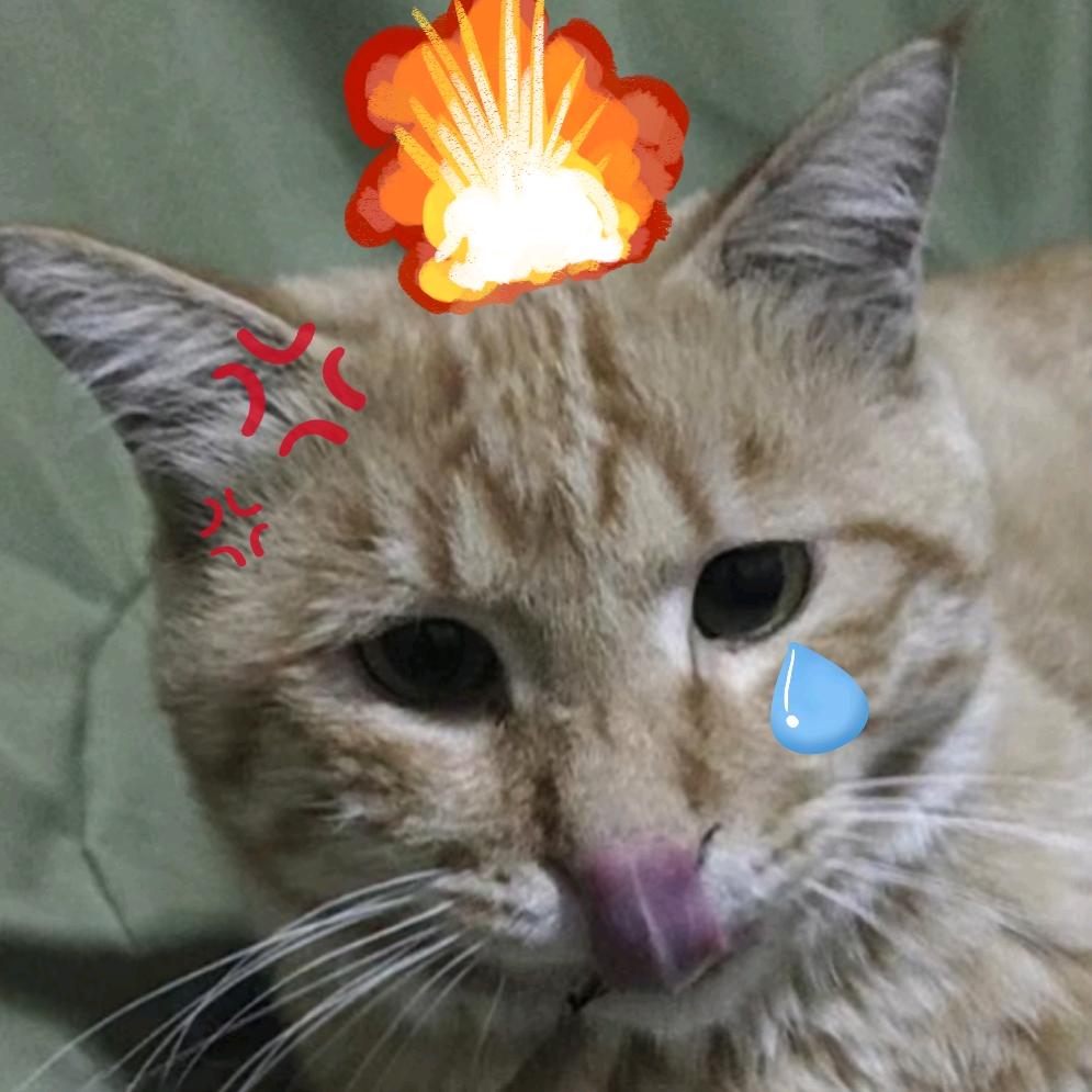 一览众山小笼包