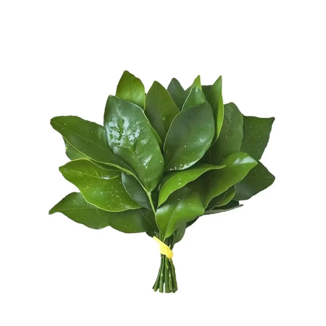 随心所钰