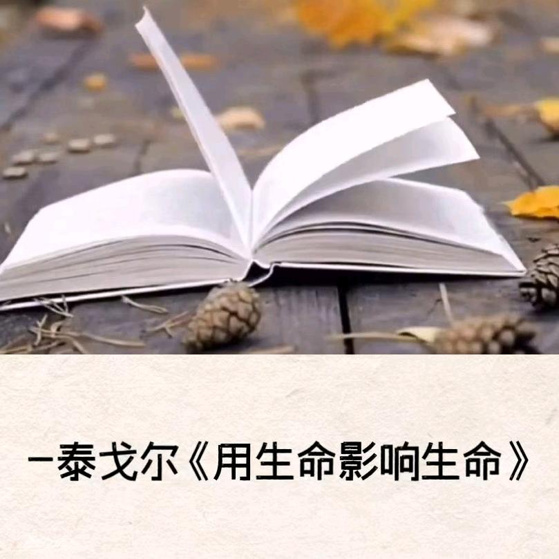 景阳阁听书