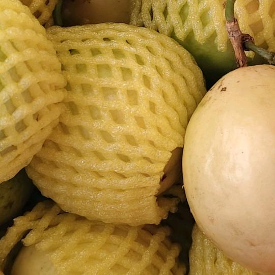 开开心心过好每一天