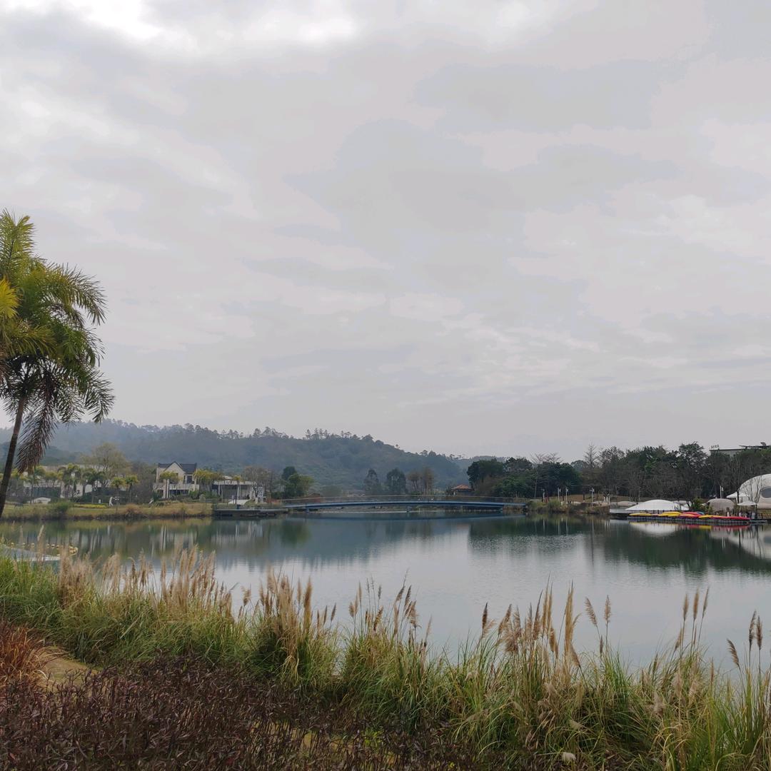 🌴槎城乌托邦🌴