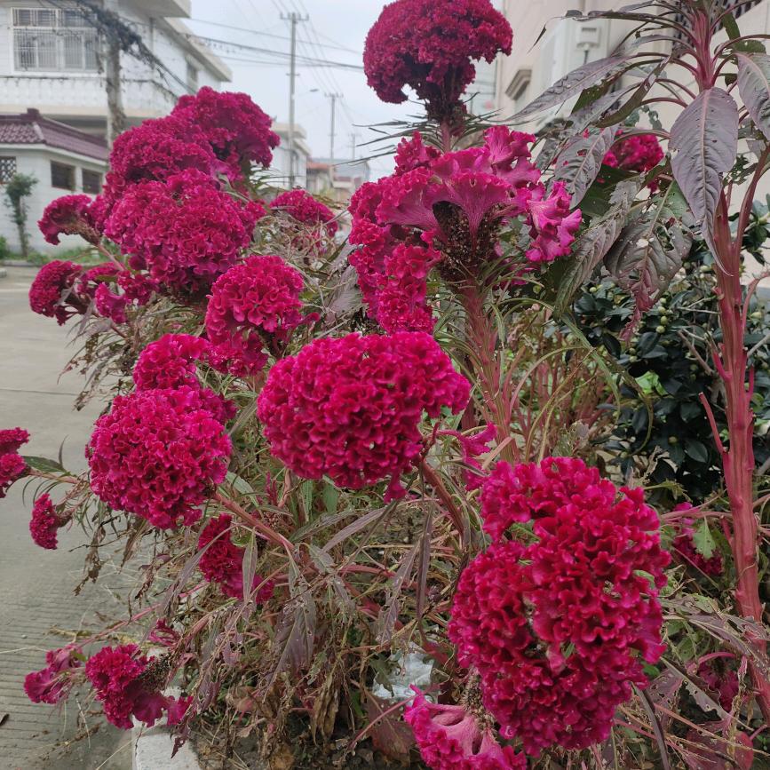 平安❤ 健康❤ 快乐😂