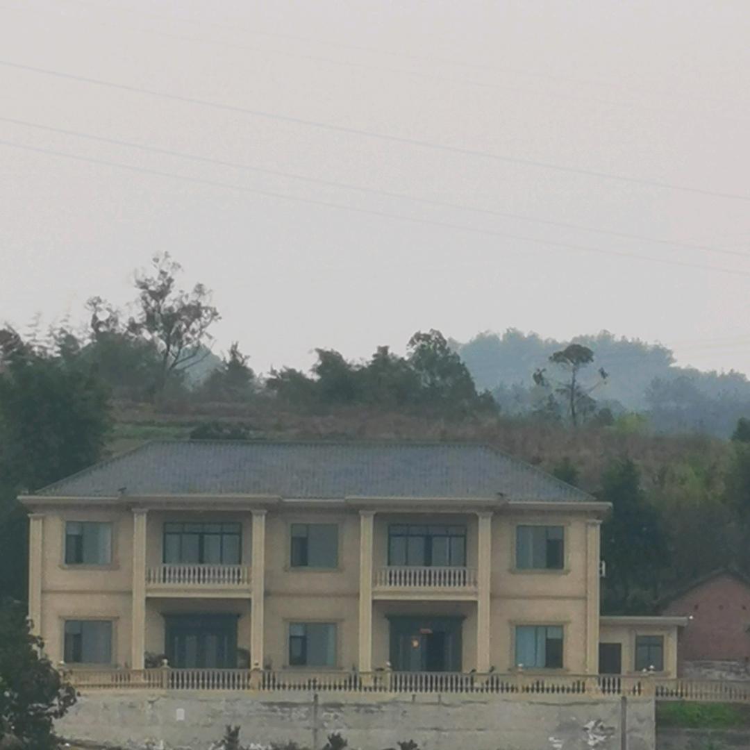 刘泽分