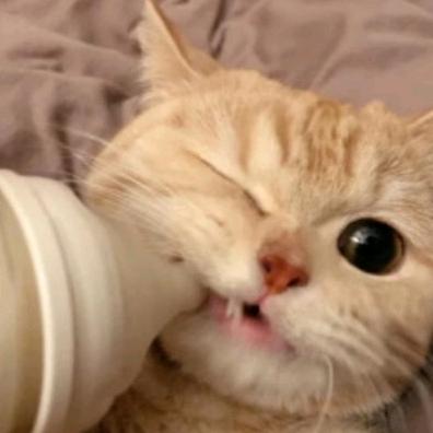 二姐的弟弟