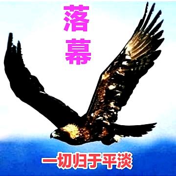 川Y猛哥