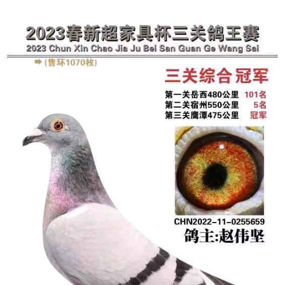 上海人家大号