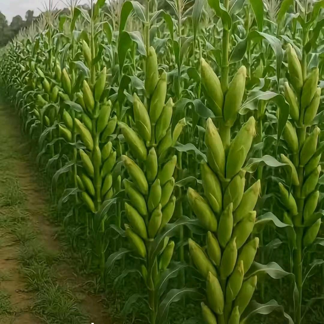 自信也是一种美