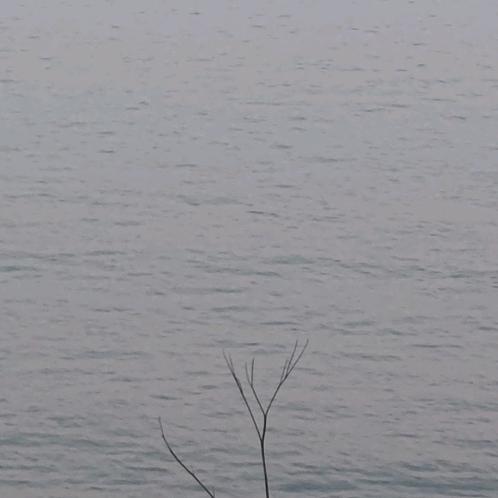 洛