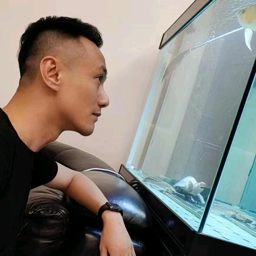 尘皮