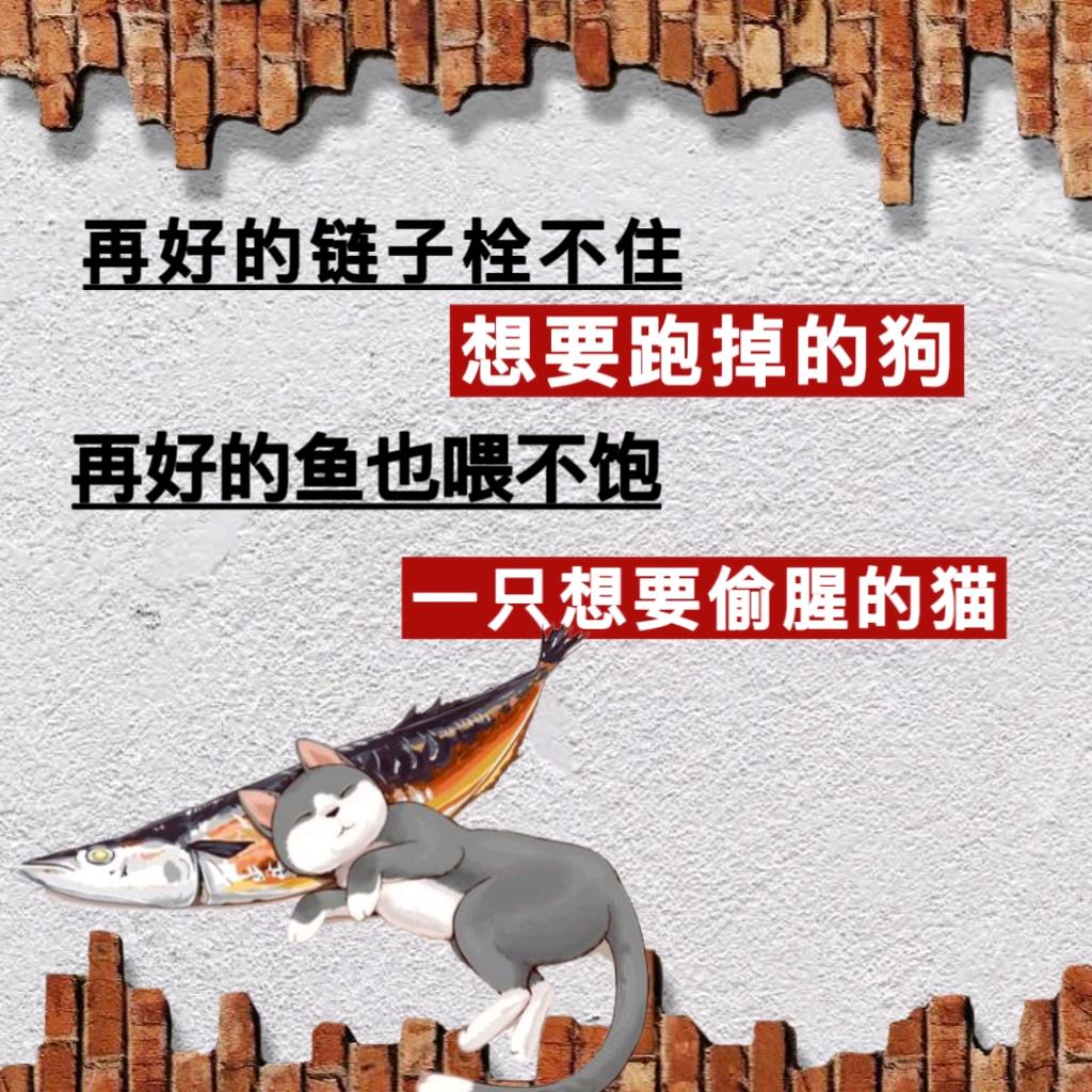 有趣的灵魂