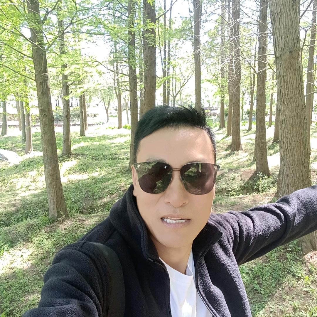 飞龙在天（江夏黄）