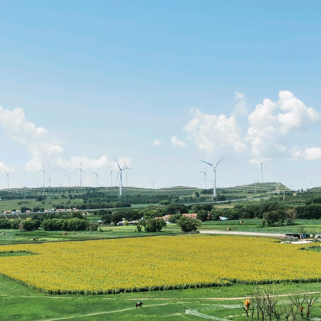 东凯的幸福生活