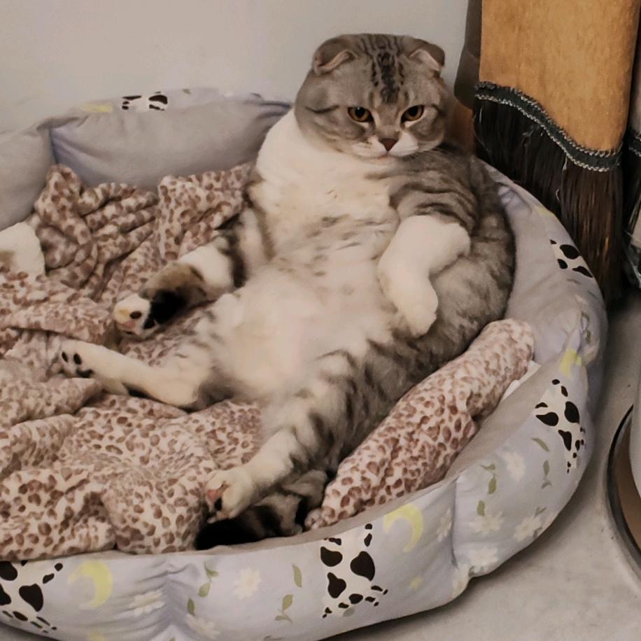 🦋꧔ꦿ᭄💞宋王情深🦹¹ᶟ₁₄