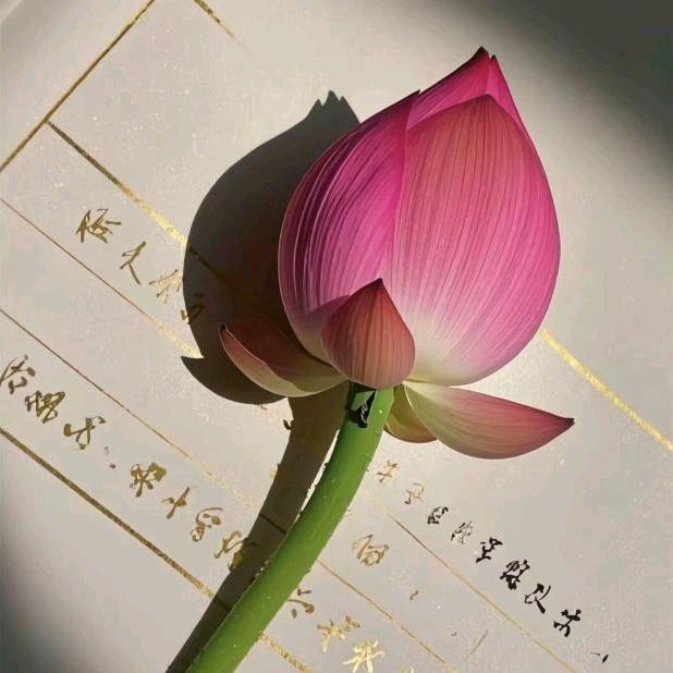 塑嗖健康体质管理官方号