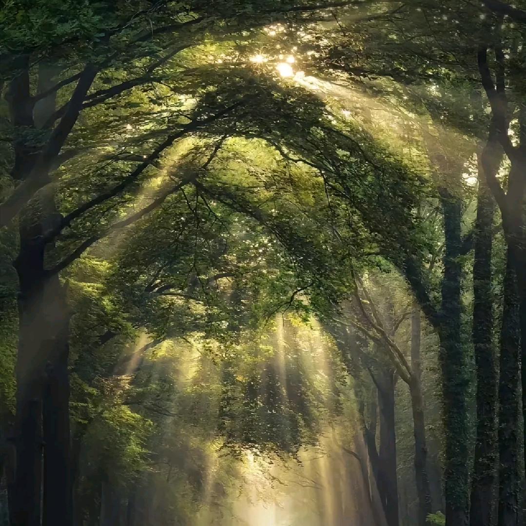 🍒千层糕."🍓  ʕÖ ૮ ˙Ⱉ˙