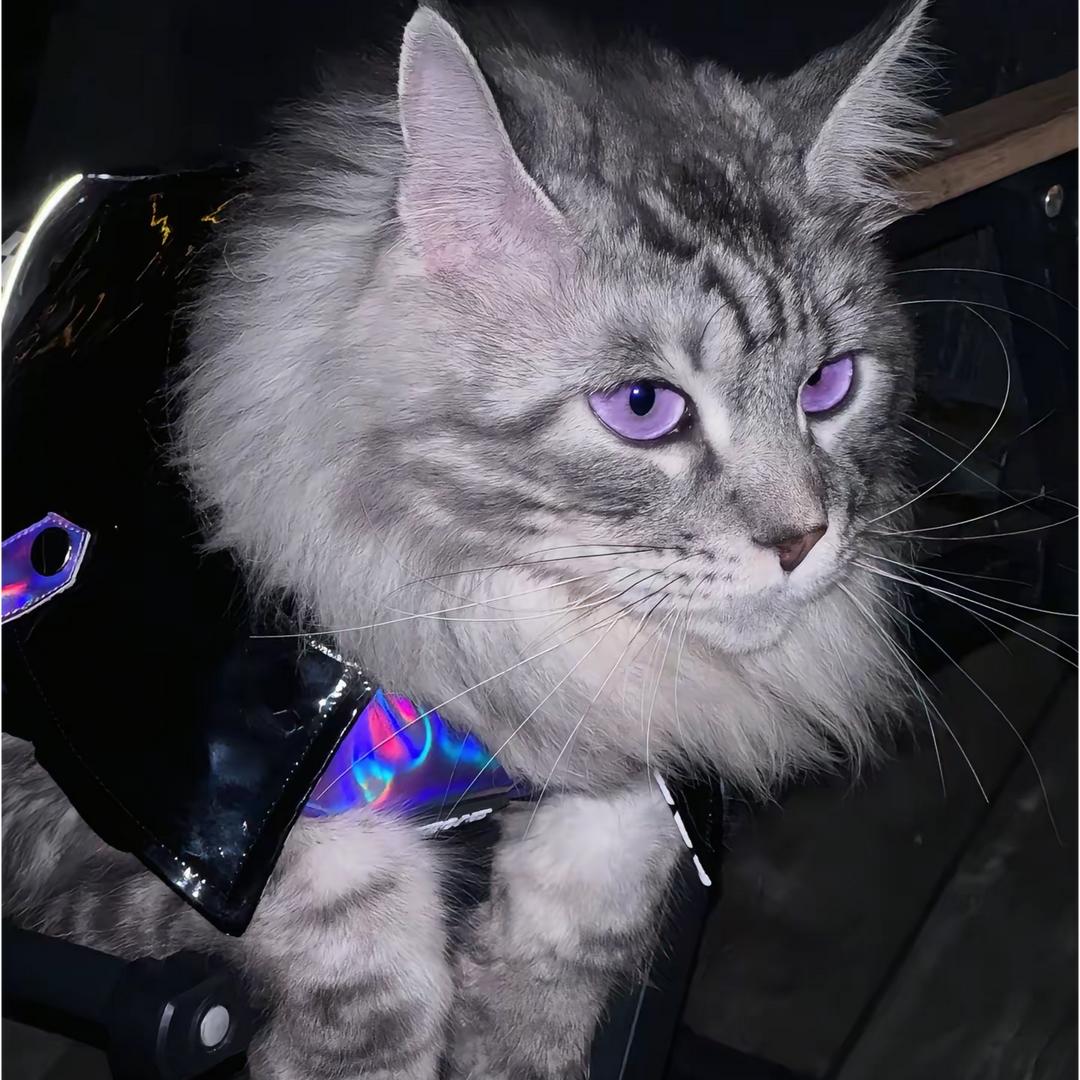 きょうじょうき