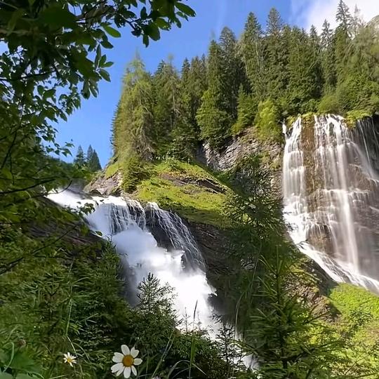 🌸悦诗风吟