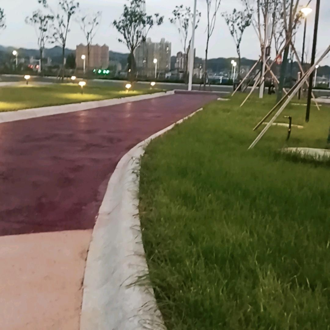 忘忧草