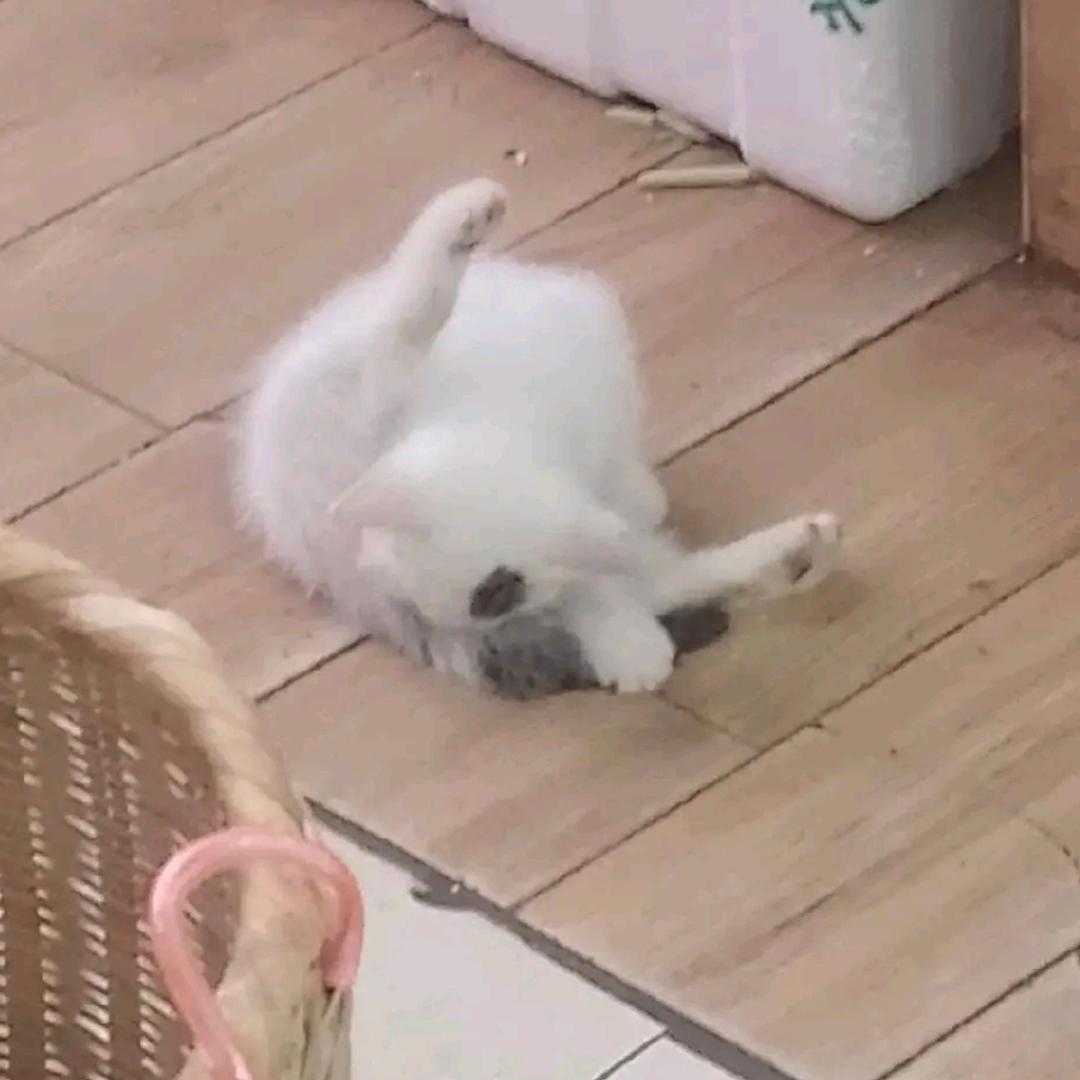 .