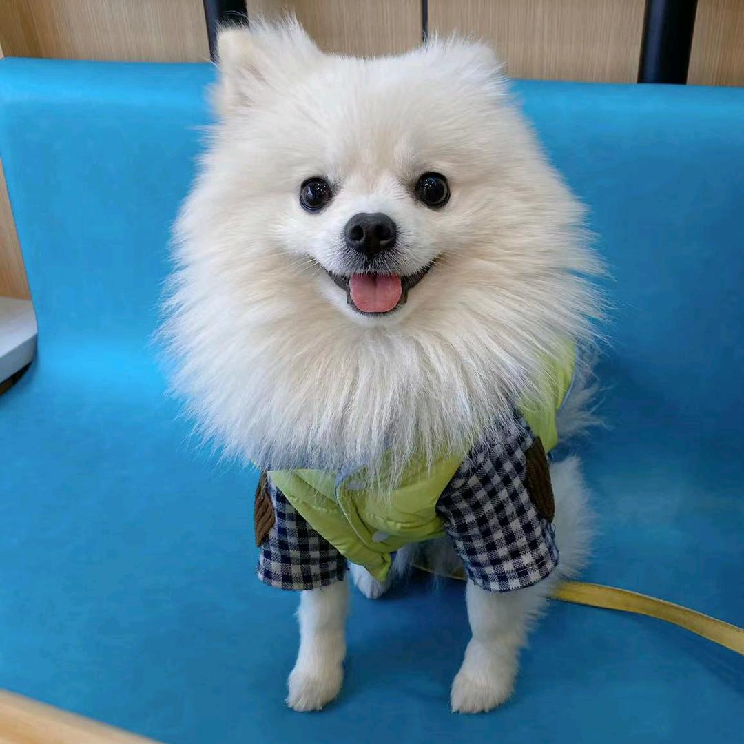 破伤风丶