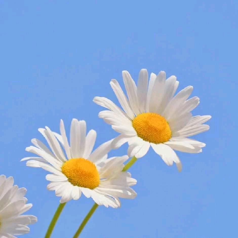 彩虹1