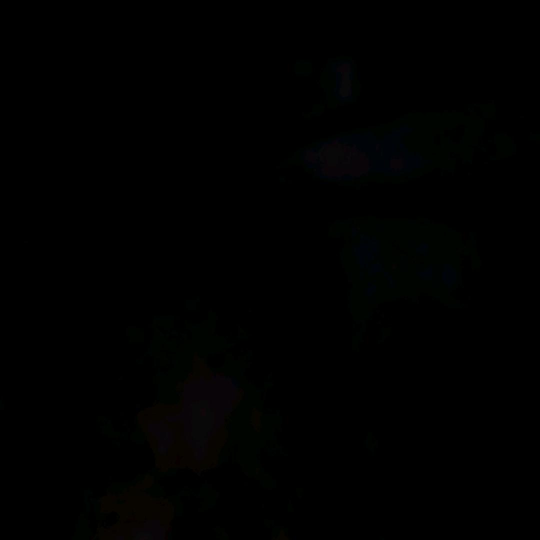 小少爷