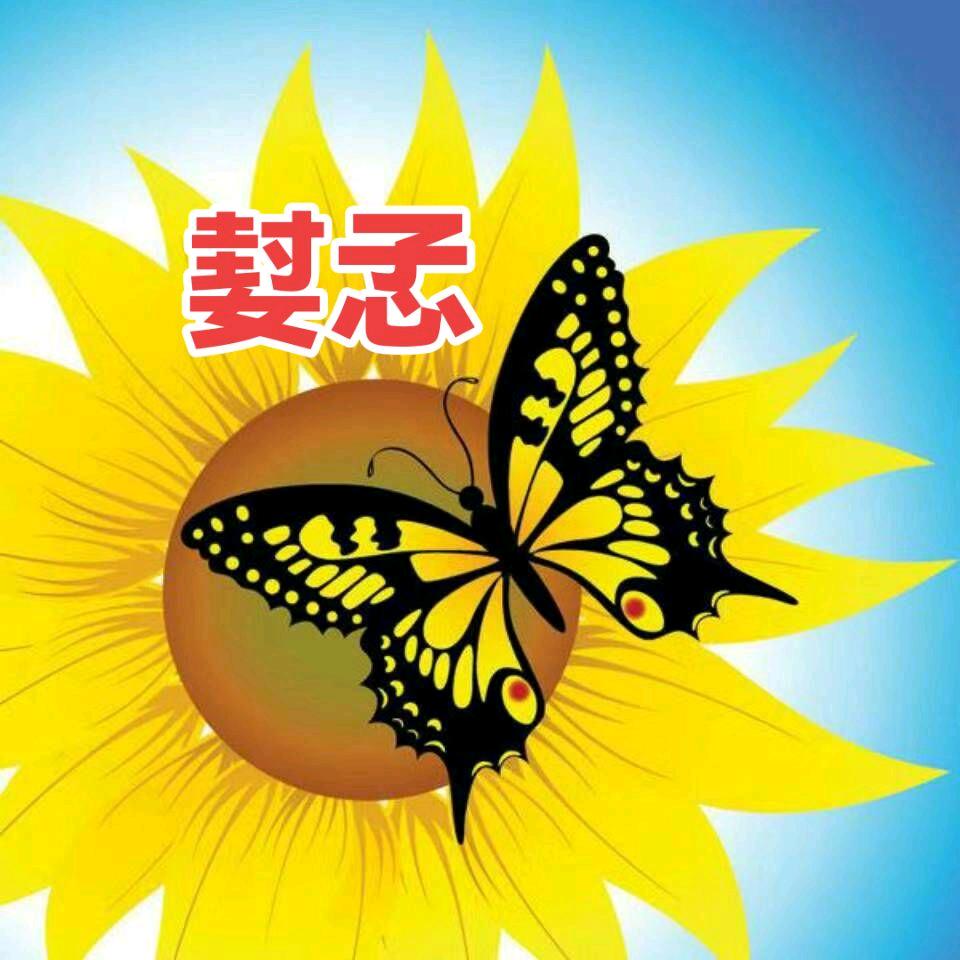 花儿露