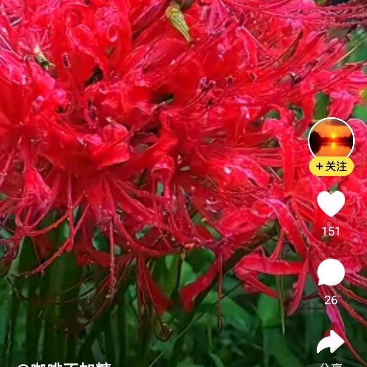 坚強的自己