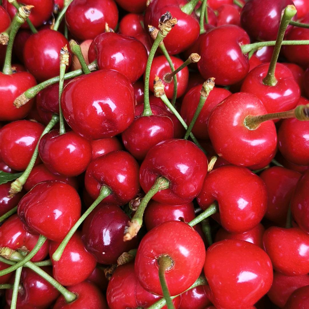 不会游泳的鱼🐟