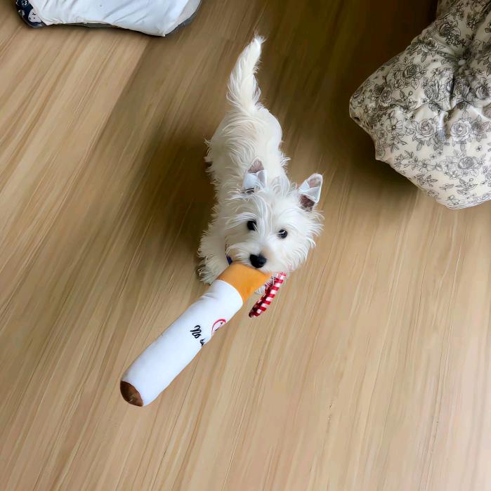 发呆