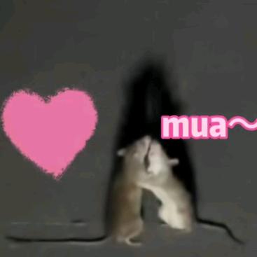 眰恦