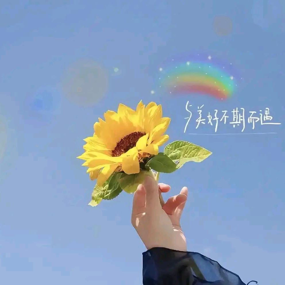 不期而遇