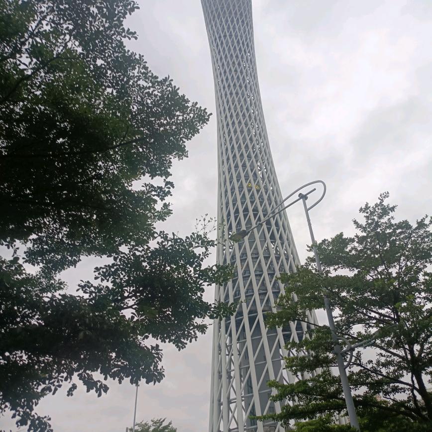 锋哥