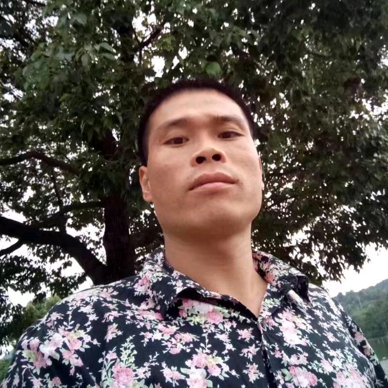 努力向前（军少）