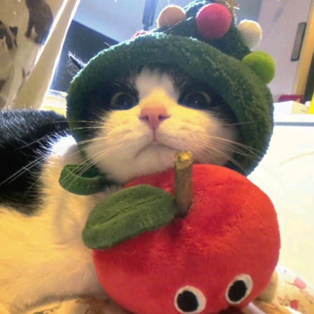 黔南特种作业培训中心贵州经贸学院小张老师