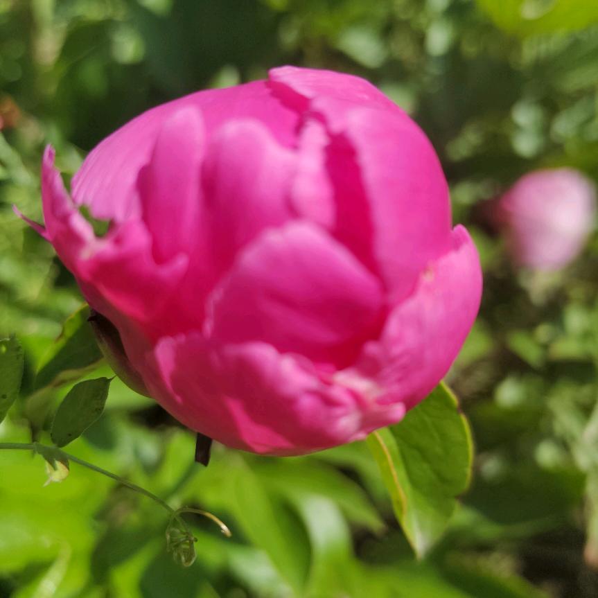 ❤️❤️❤️❤️