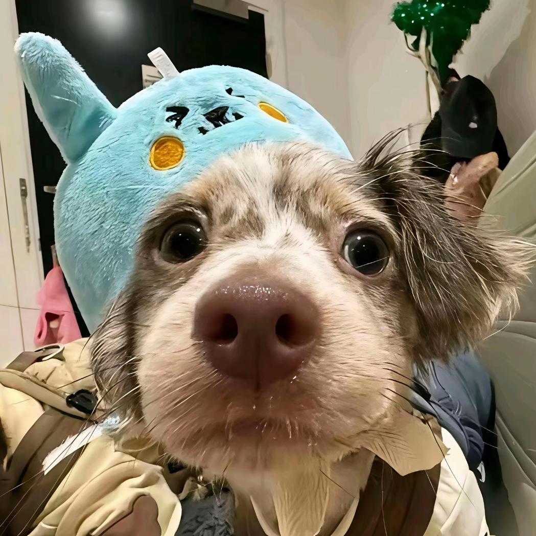 Kio.