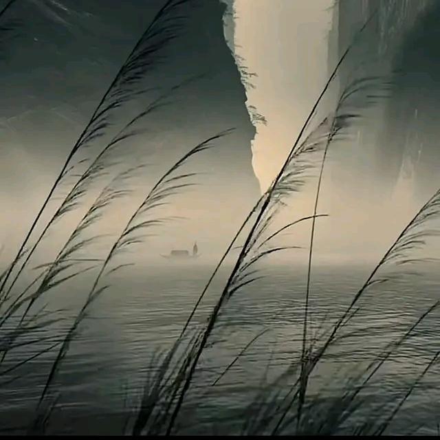 杜良转盘广告复印