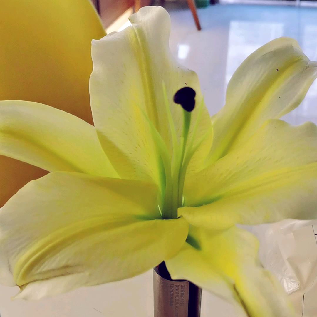 天山区青年路有机草本化妆品店