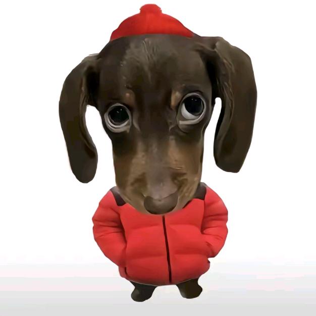 不会说话的哑巴.