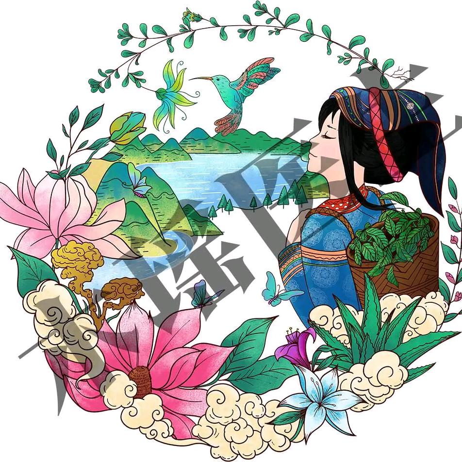 让赞美飞扬