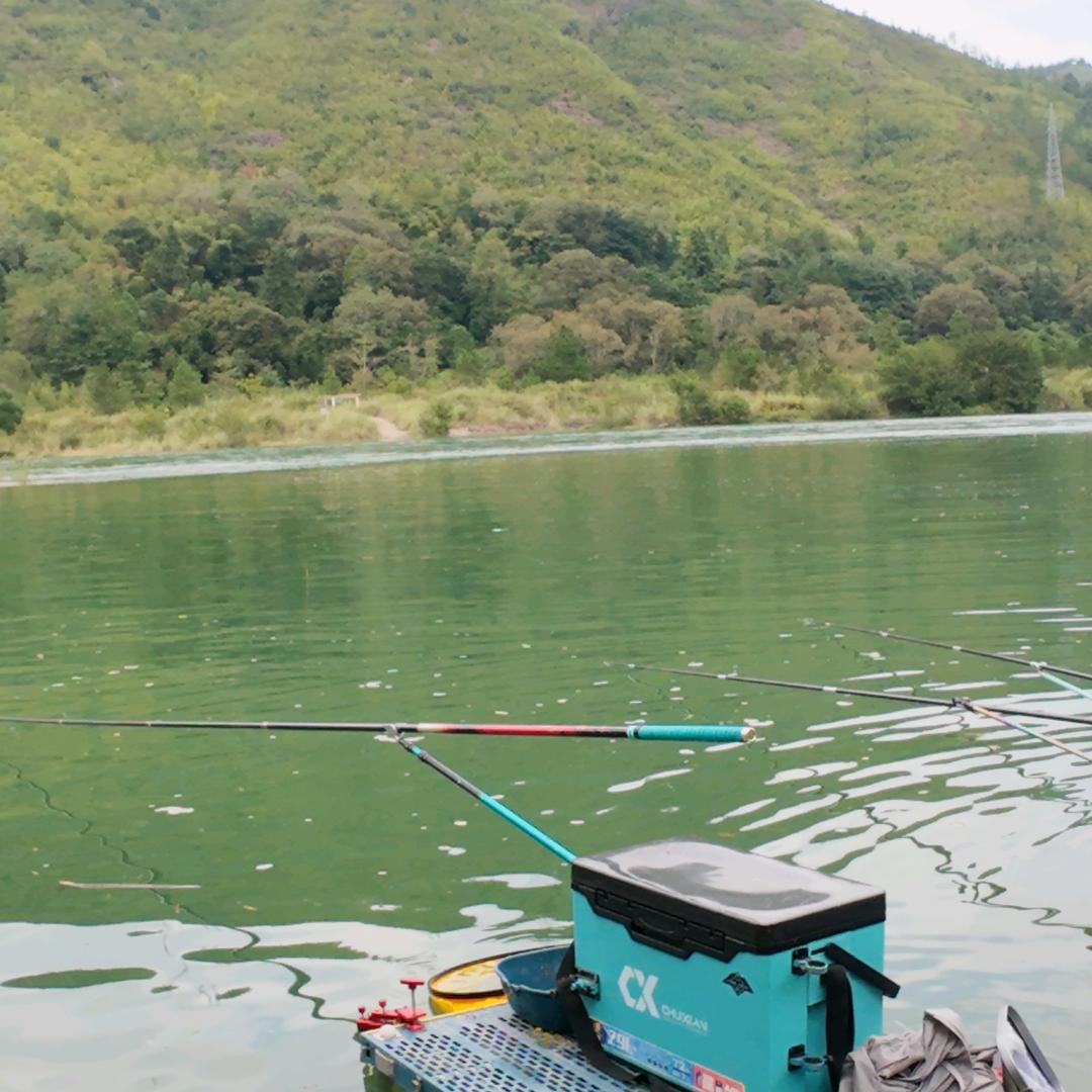 @小天爱钓鱼🎣