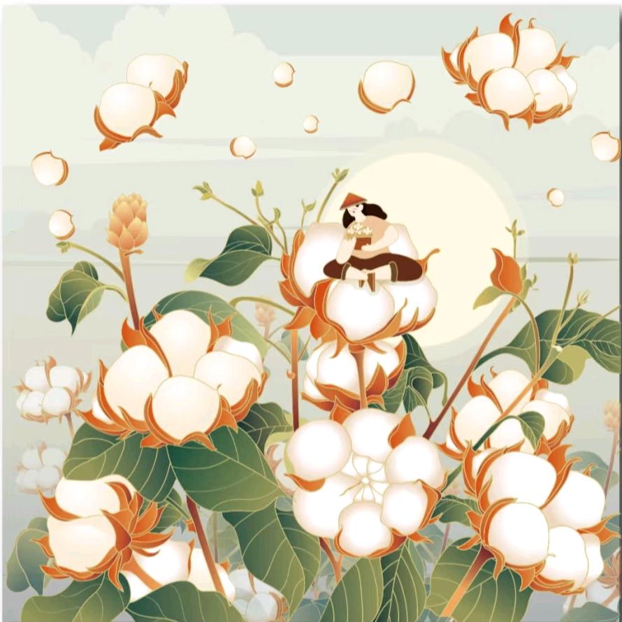 云朵厂家直销棉柔巾