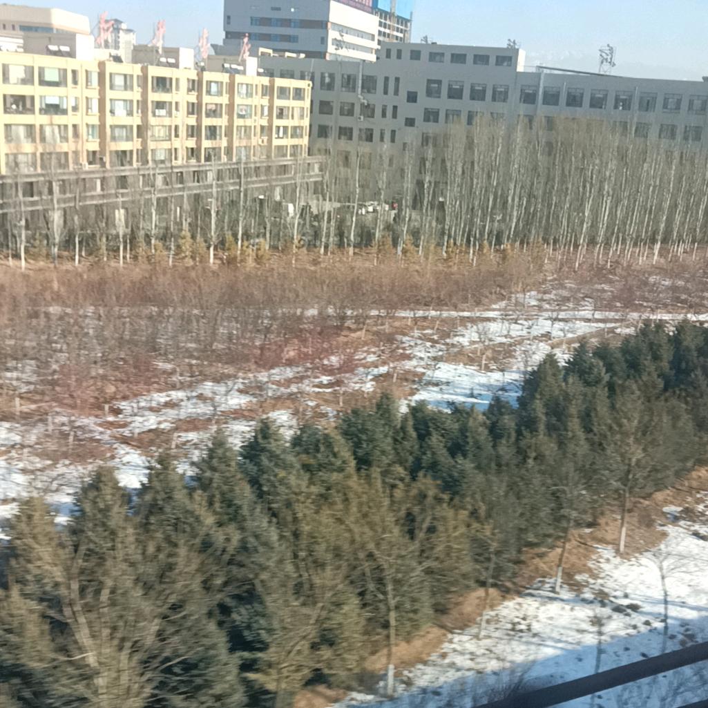 欢乐真情