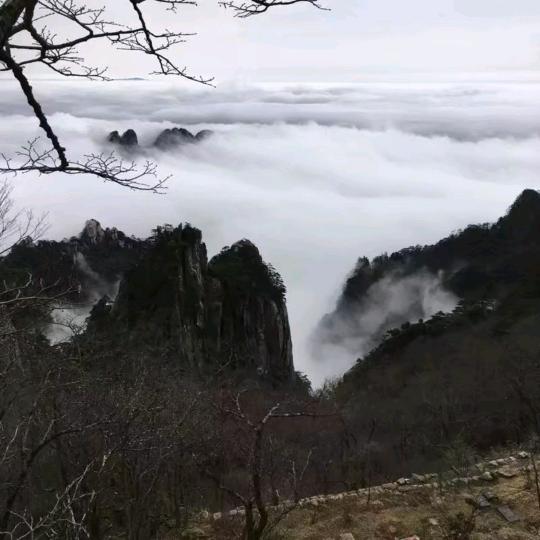 往后余生
