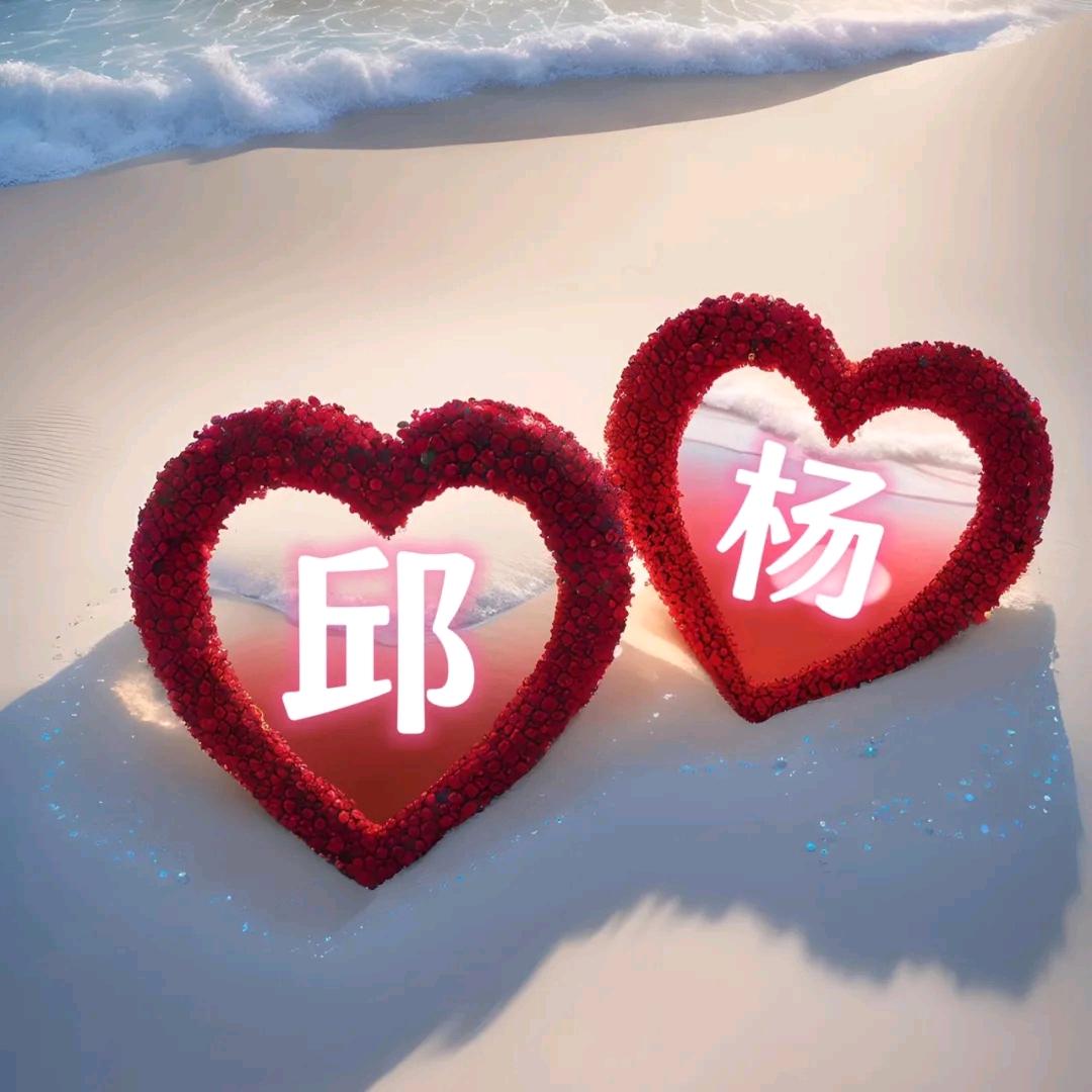 ：：杨红：：