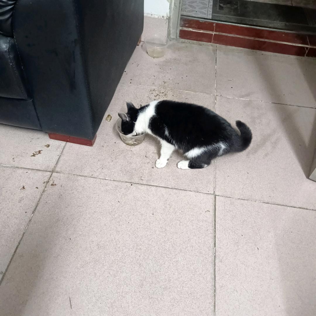 陈陈