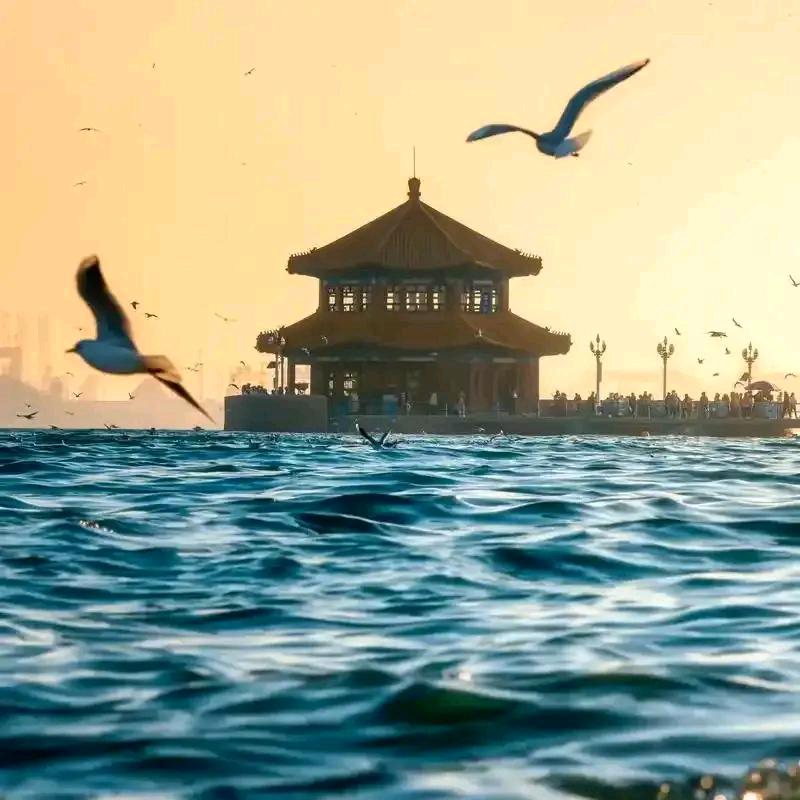 海尔海信直播间