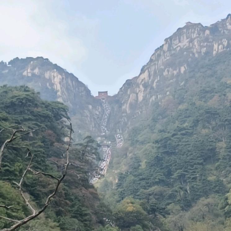 无為